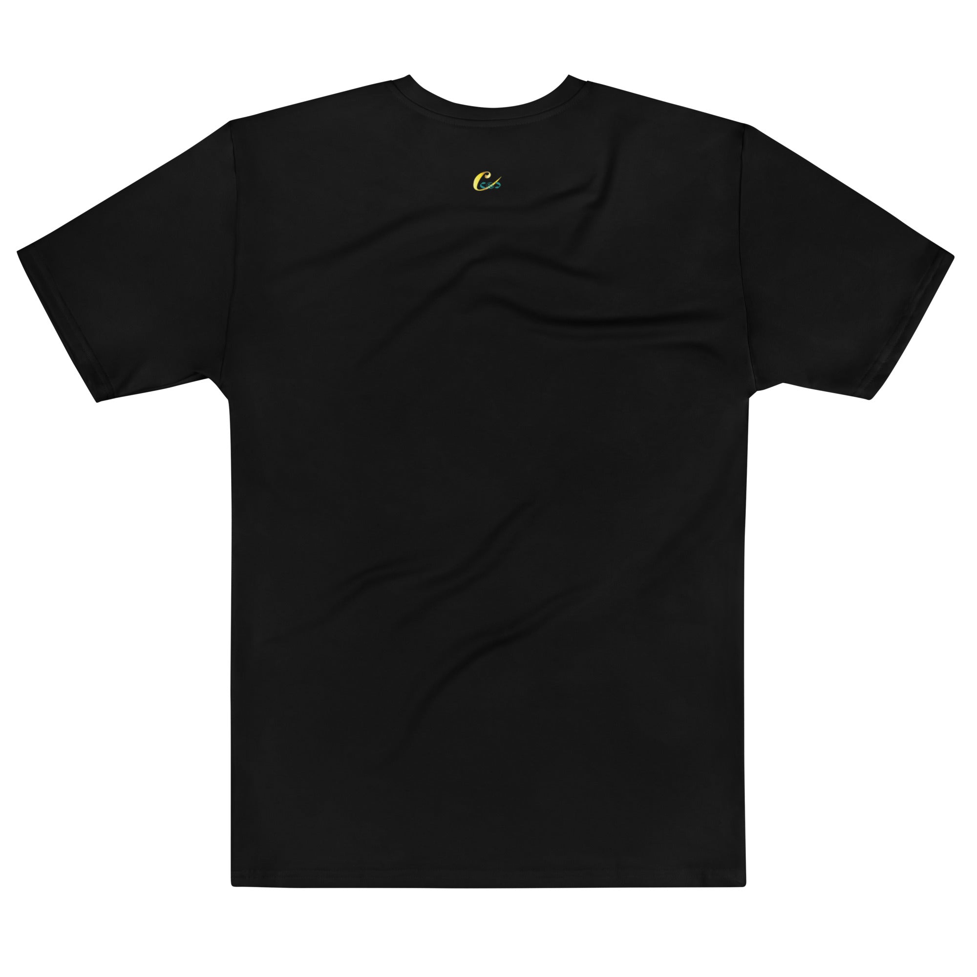 TSI Flag Men's Tee